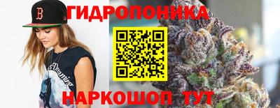 дживик Кунгур