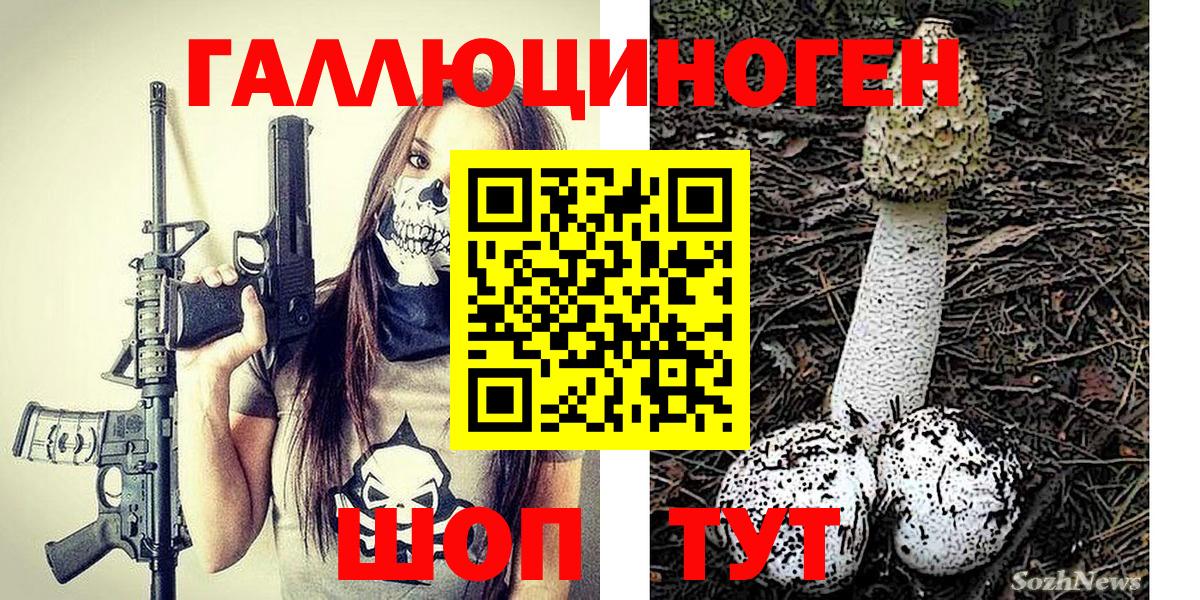 Галлюциногенные грибы Psilocybine cubensis  Вход с VPN  Кандалакша  Псилоцибиновые грибы мицелий 